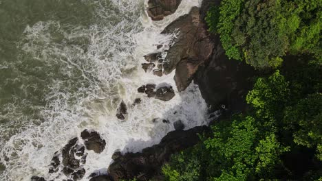 High-angle-aerial-view-above-exotic-islands-treetop-canopy-moving-to-splashing-ocean-tide-against-rocky-coast