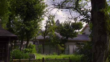 Creepy-view-into-Japanese-nature-backyard-with-typical-architecture-buildings-on-windy-day
