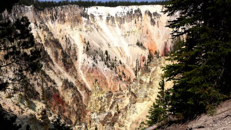 Long-shot-of-the-Grand-Canyon-of-Yellowstone,-zoom-in-on-distant-trees-growing-on-steep-slope