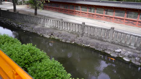 View-down-on-Japanese-pond-with-typical-Koi-Fish-against-temple-wall-with-path