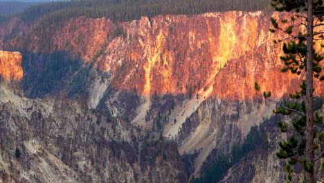 Orangefarbenes-Abendsonnenlicht-Scheint-Auf-Die-Obere-Hälfte-Der-Schluchtwände-Im-Grand-Canyon-Von-Yellowstone