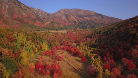 Flug-über-Schöne-Herbstbäume-In-Utah
