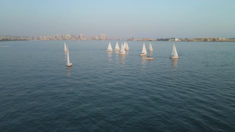 Group-of-sailboats-on-San-Diego-Bay-overlooking-The-city-skyline