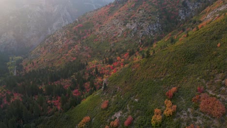Colorful-Trees-On-The-Lush-Mountain-Slope-In-Utah-During-Autumn-Season---orbiting-drone-shot