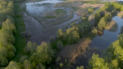 Marshlands-Wilderness-in-Nature-Park-of-Latvia-Countryside---Aerial-Drone-View