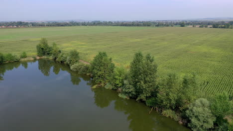 Small-lake-with-trees-surrounded-by-farmland