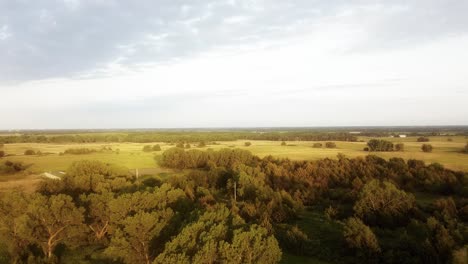 Aerial-over-the-treetops-and-expansive-land-of-Kansas-at-sunset-away-from-the-sun