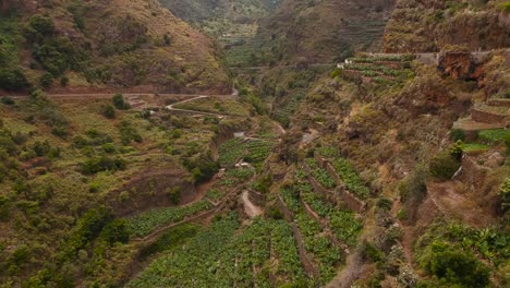 Aerial-drone-shot-of-some-terrace-crops-in-La-Palma,-Canary-Islands,-Spain