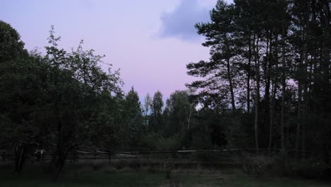Quiet-Forest-Scenery-In-Prądzonka-Village-Poland-In-The-Early-Evening---timelapse