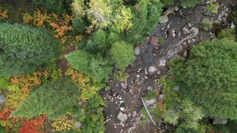 Top-down-aerial-footage-over-a-rocky-creek,-a-hiking-trail,-in-the-forest-in-the-fall