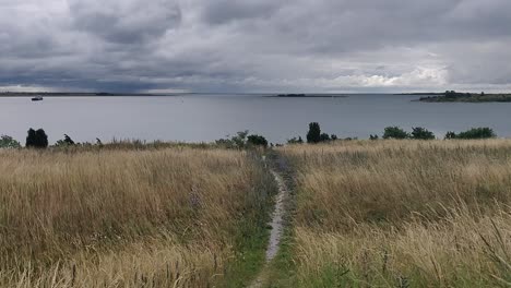 Coastal-path-with-dramatic-cloudy-sky,-Gotland-Sweden