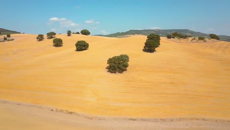 Aerial-view-of-a-harvested-yellow-barley-golden-field-in-the-south-of-Spain