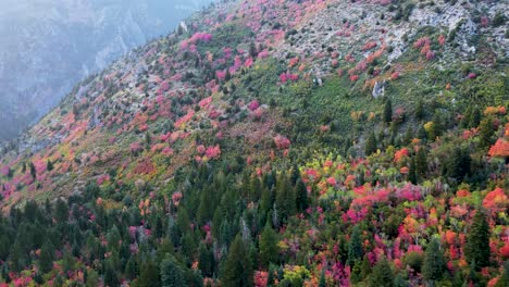 A-Picturesque-Landscape-Of-Mountain-Forest-With-Autumnal-Foliage-On-Trees-During-Fall-Season-In-Utah,-USA