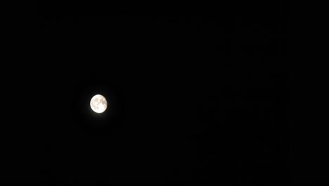 Peaceful-Night-With-Full-Moon-Shining-On-A-Dark-Sky-In-Pradzonka,-Northern-Poland---Low-Angle-Shot