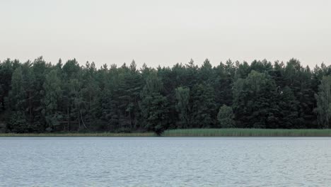 Seenlandschaft-Im-Landschaftspark-Wdzydzki-In-Polen
