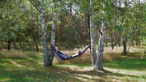 Man-Swinging-In-A-Hammock-Enjoying-The-Beauty-Of-Nature-During-Sunny-Day-In-Pradzonka-Forest,-Northern-Poland