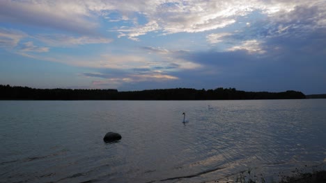 Schöne-Schwäne-Schwimmen-Auf-Einem-Ruhigen-See-Unter-Blauem-Bewölktem-Himmel-Im-Wdzydze-Landschaftspark-In-Polen---Zeitraffer