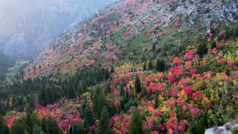 Fall-Colors-of-Leaves-on-Trees-in-Untouched-Mountain-Environment-in-Utah,-Aerial-Drone-Flying-View