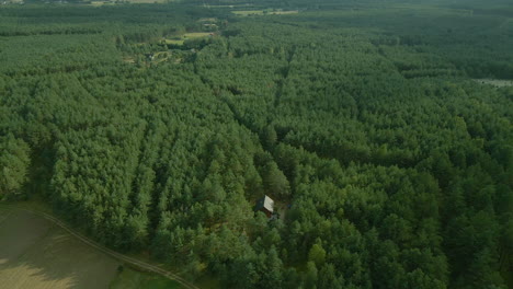 Slow-Aerial-fly-over-a-dense-green-leafy-deciduous-forest-of-Kowalskie-Blota-village,-district-of-Gmina-Cekcyn,-Kuyavian-Pomeranian-Voivodeship,-in-north-central-Poland,-forward-motion,-drone-shot