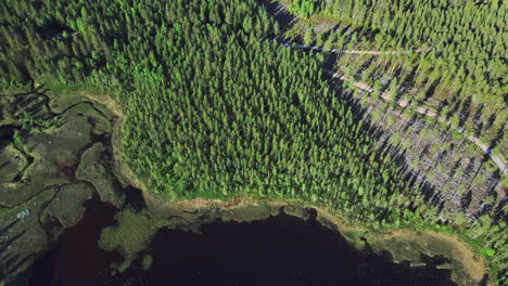 Luftaufnahme-Eines-Ruhigen-Sees,-Der-Mit-Wasserpflanzen-Im-üppigen-Kiefernwald-In-Der-Gemeinde-Vansbro,-Kreis-Dalarna,-Schweden-Bewachsen-Ist---Drohnenaufnahme