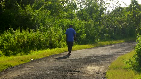 blue-shirt-farmer-walking-in-village-in-sunny-day-green-path-jungel