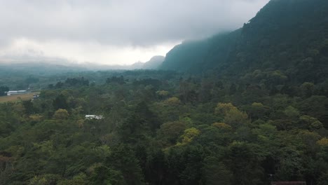 Drohnenantenne,-Die-An-Bewölkten-Tagen-In-Guatemala-über-Die-Bäume-Im-Wald-Fliegt