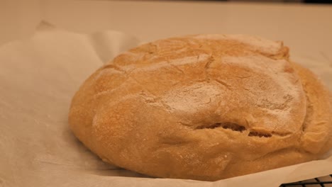 Slow-motion-pan-around-full-freshly-baked-loaf-of-sour-dough-bread-topped-with-flour-sitting-on-kitchen-bench-with-tea-towel-and-tray,-low-depth-of-field
