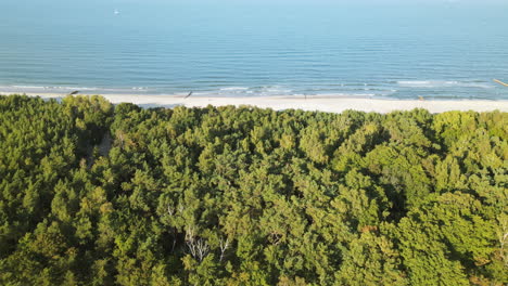 4K-Aerial-View-Of-Whitehaven-Beach,-Over-Sea-Forest-Trees-With-Seashore,-Kuznica-Poland