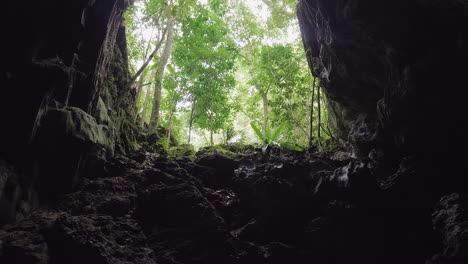 Toma-De-Pedestal-Ascendente-Desde-El-Interior-De-La-Cueva,-Que-Revela-Un-Bosque-Tropical-En-El-Exterior