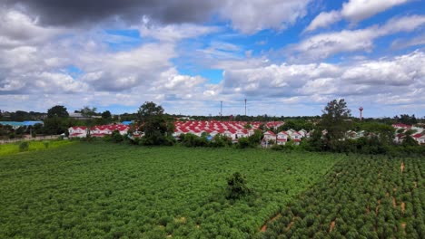 Aerial-Drone-clip-ascending-over-fields-in-the-countryside-of-Thailand,-revealing-a-village