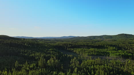 Vasto-Bosque-Lleno-De-Pinos-Verdes-Bajo-El-Cielo-Azul-Claro-En-El-Municipio-De-Vansbro,-Condado-De-Dalarna,-Suecia---Drone-Aéreo