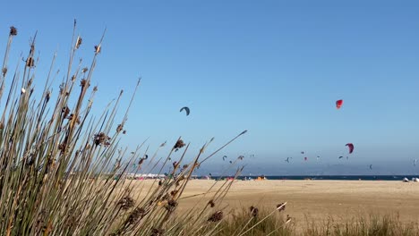 Beach-of-Tarifa-in-Cadiz,-Spain,-with-many-surfing-kites-on-the-sky