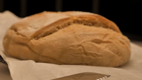 Slow-pan-over-serrated-knife-towards-freshly-baked-loaf-of-sour-dough-bread-topped-with-flour-sitting-on-kitchen-bench,-low-depth-of-field
