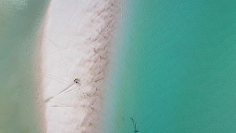 Downward-drone-shot-of-people-on-beautiful-sandy-beach-at-Whitehaven-Beach-Whitsunday-Island-Australia
