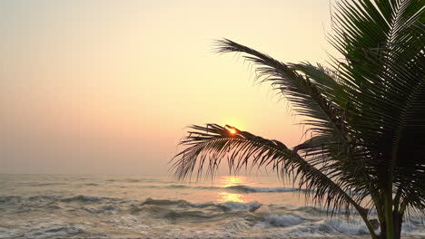 Slow-Motion-of-Tropical-Serenity,-Sea-Waves-Breaking-on-Beach,-Sunset-Sunlight-on-Skyline-Behind-Palm-Tree