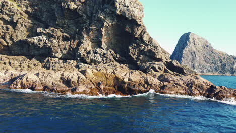 Seelöwe-Auf-Dem-Felsen-Springt-In-Die-Wellen---Inselbucht-In-Neuseeland---Weitschuss,-Zeitlupe