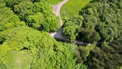 Luftaufnahme-Eines-Gesunden-Grünen-Waldes-In-Einem-Naturschutzgebiet,-Steigender-Drohnenschuss