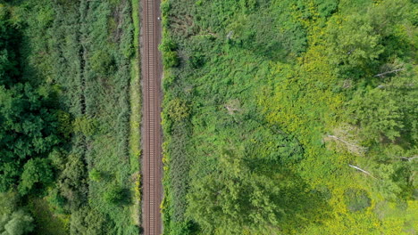 Follow-train-track-surrounding-growth,-wood's-fast-forward-drone-shot