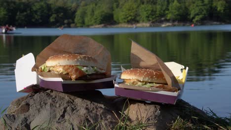 Two-delicious-beef-burgers-by-the-calm-lake-with-people-on-water-bicycles-in-the-background