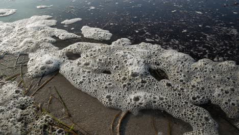 Foam-floating--on-water-surface-on-shore