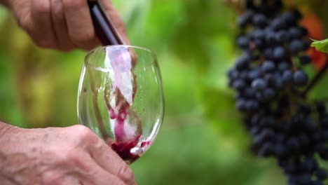 Close-up-view-of-old-vintner-pouring-rich-red-wine-into-crystal-glass-from-wine-thief,-SLOW-MOTION