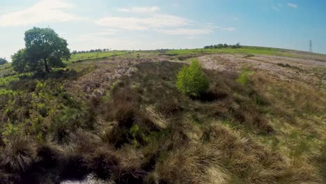 Low-flying-drone-shot-over-a-small-pond-and-English-moorland,-Yorkshire
