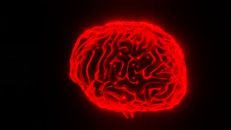 Cerebro-Iluminado-En-Rojo,-Cg,-órbitas-De-Cámara