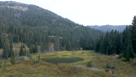Wald-Am-Berghang-Und-Seenwildnis,-Wasatch-Range-Von-Utah,-Luftbild