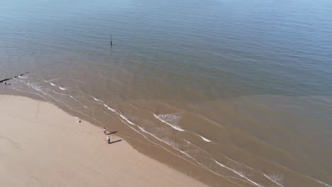 Tourists-walking-dog-on-golden-sunny-sandy-beach-next-to-ocean-tide-aerial-view
