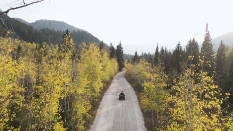 ATV-all-terrain-vehicle-driving-through-mountain-forest-country-road,-aerial