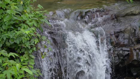 Fuente-Natural-De-Agua-Que-Fluye-De-La-Selva-India