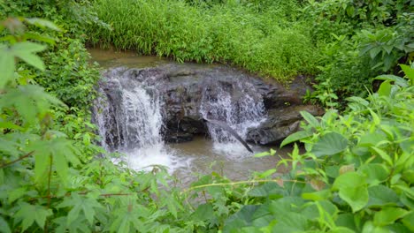 Kleiner-Wasserfall-Fließendes-Wasser-Durch-Den-Dschungel