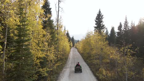 Fun-outdoor-adventure-of-two-people-riding-ATV-all-terrain-vehicle-machine-on-remote-rural-dirt-straight-and-narrow-road-in-outside-wilderness-with-tall-green-and-yellow-trees,-Utah,-aerial-tracking