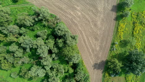 Top-view-agriculture-land--in-hungary